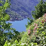 Sonia Raphael アパート *