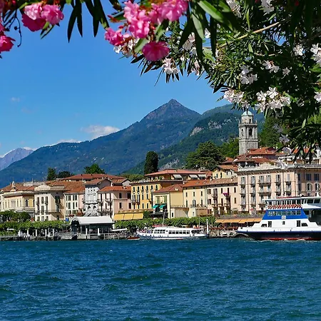 Sonia Raphael 아파트 *